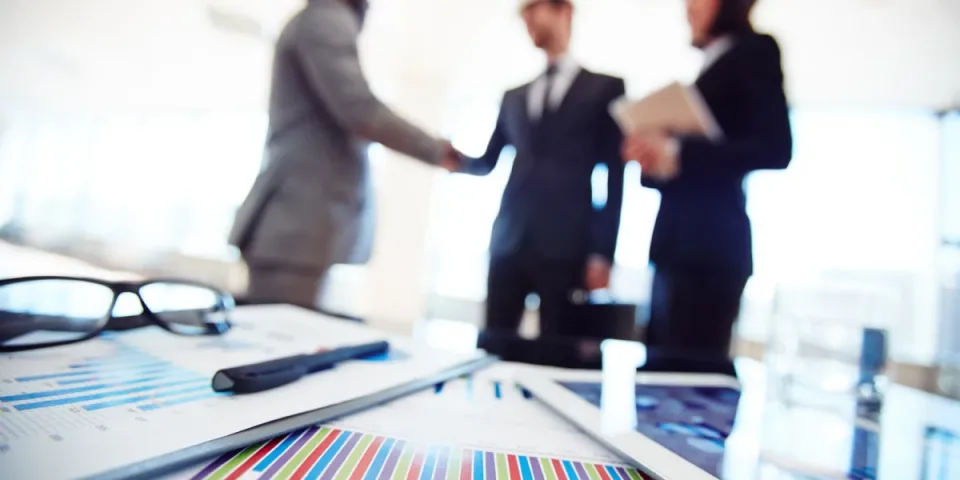 Prawo dotyczące roślin domowych: Co warto wiedzieć przed zakupem i hodowlą?